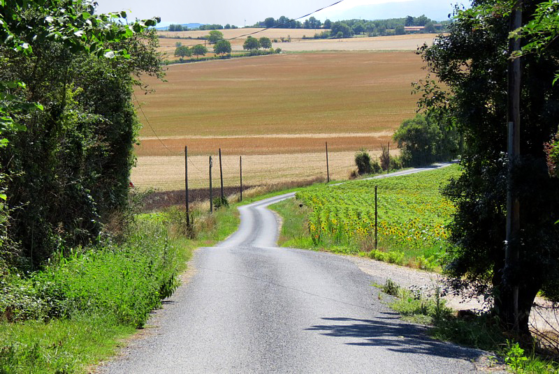 Le chemin menant au chteau