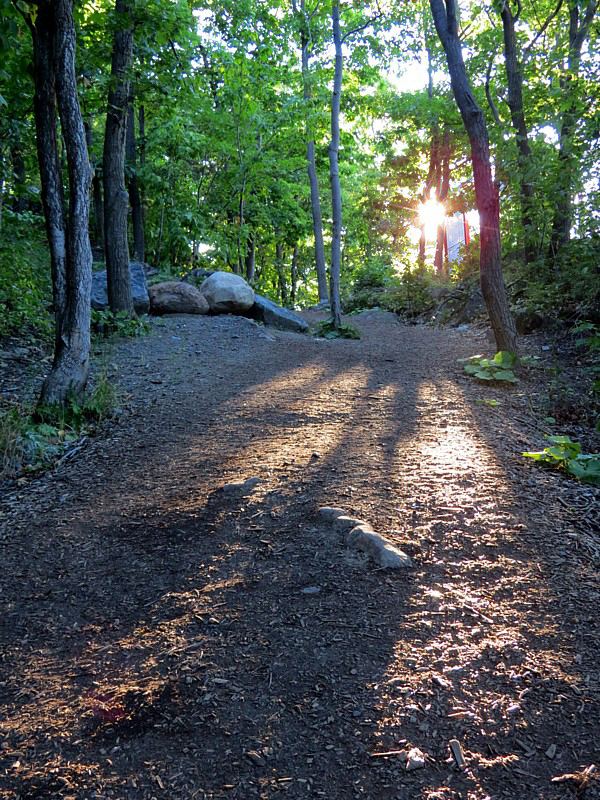 sentier lumineux