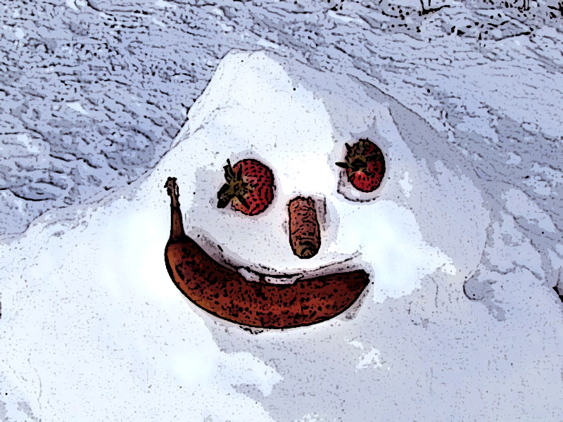 vegetarian snowman