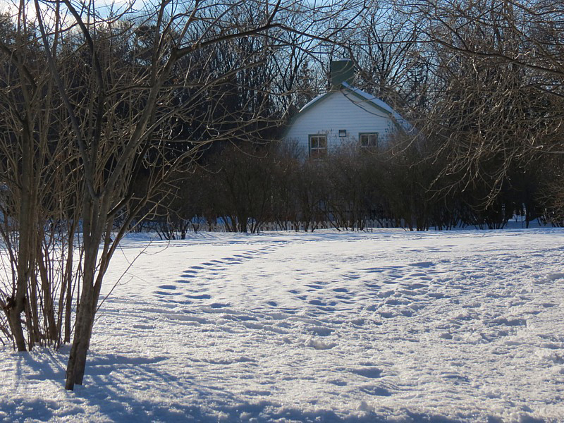 la grange en hiver, Bois de Coulonge