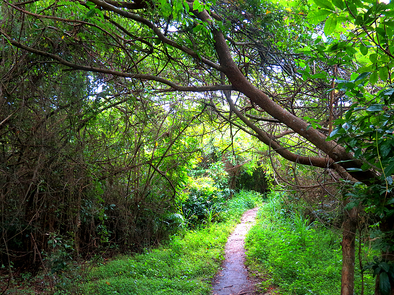 sentier vers le trou bleu