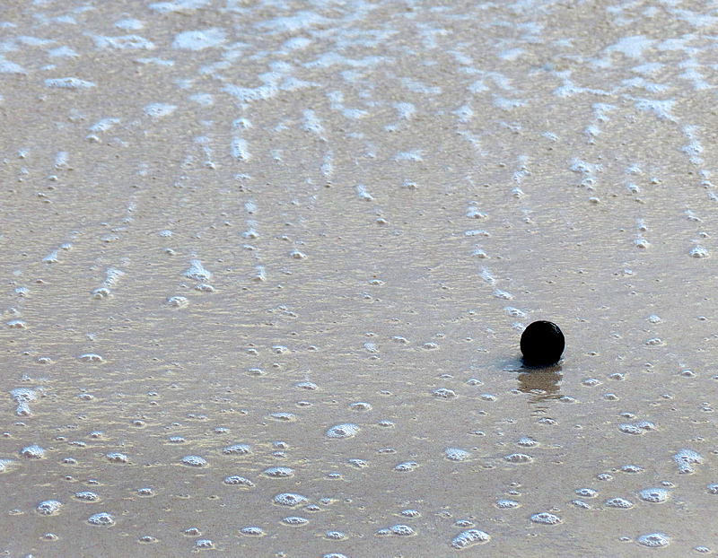 La noix qui roule sur la plage