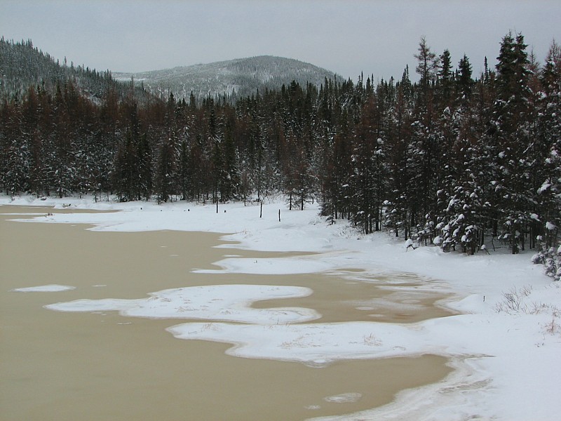 réserve faunique des Laurentides