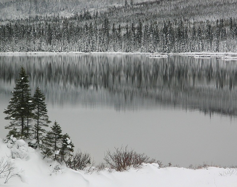 les trois sapins