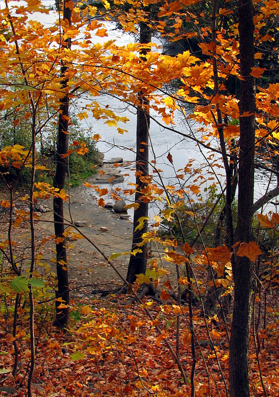 sur le bord de la Montmorency