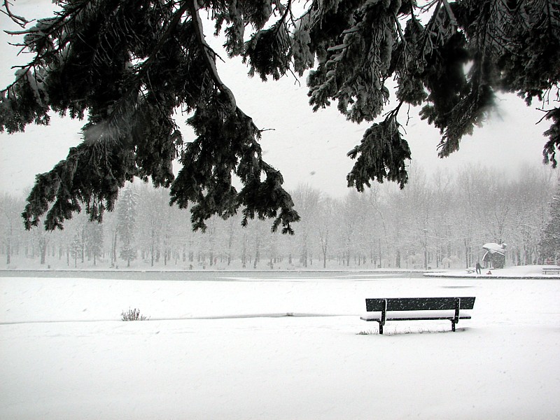 Le banc du lac
