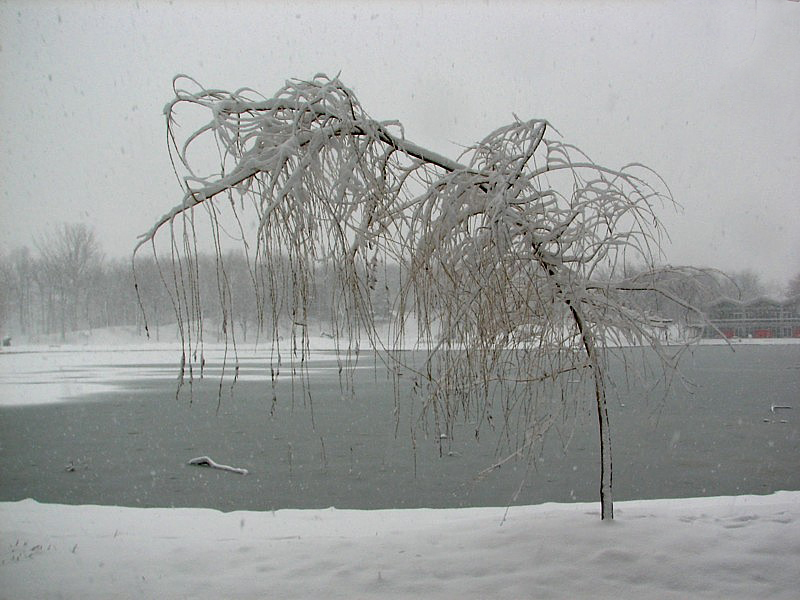 Tempte au lac