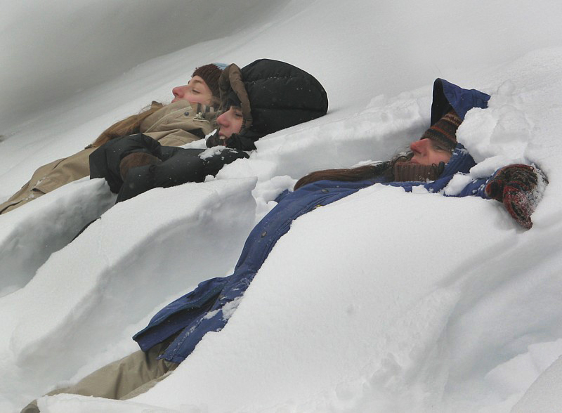 couchs dans la neige