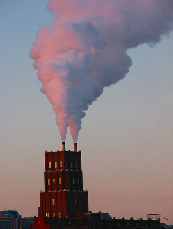 L'usine de Barbe  papa