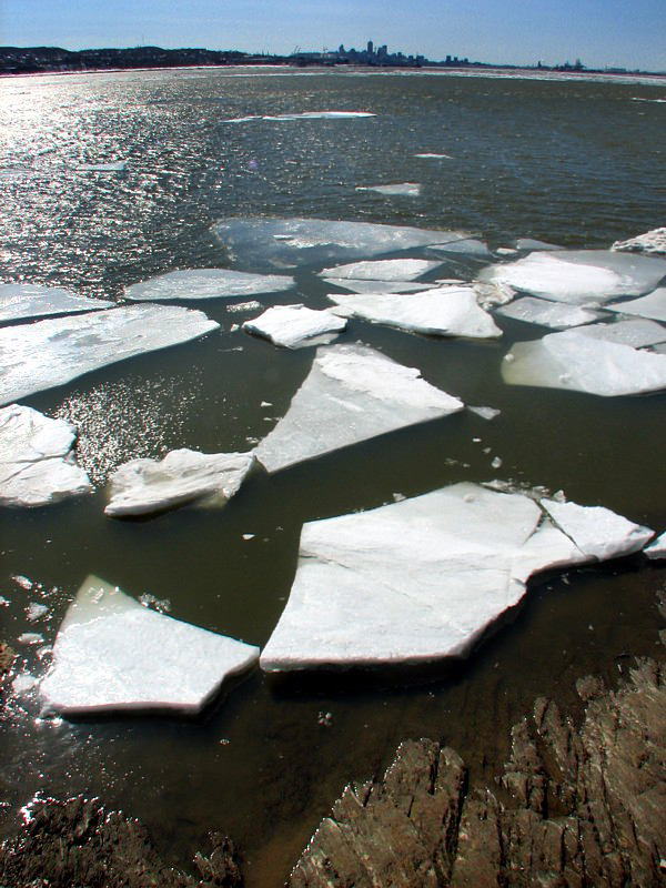 Plaques de glaces devant Québec