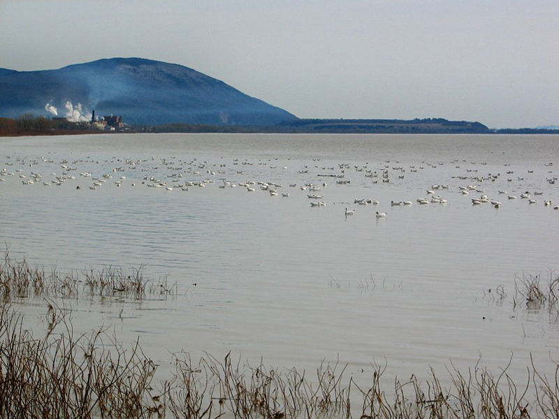 le cap Tourmente