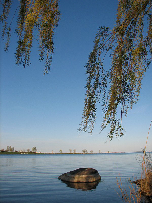 le rocher  fleur d'eau