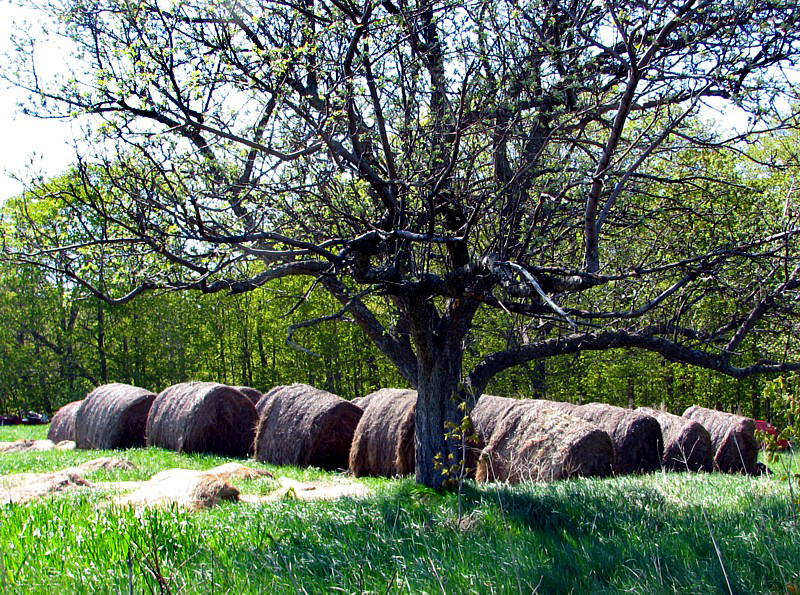 les balles de foin