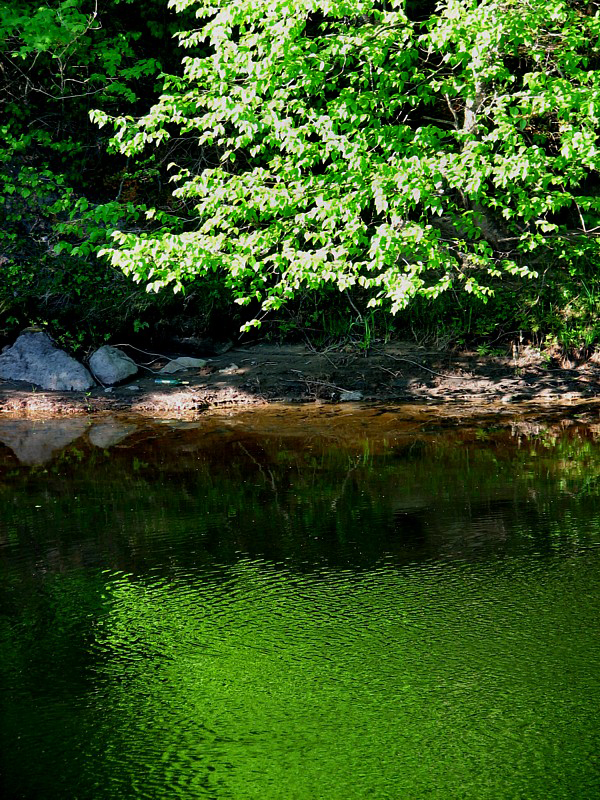 reflet de rivire sur la route de St-Alexis-des-Monts