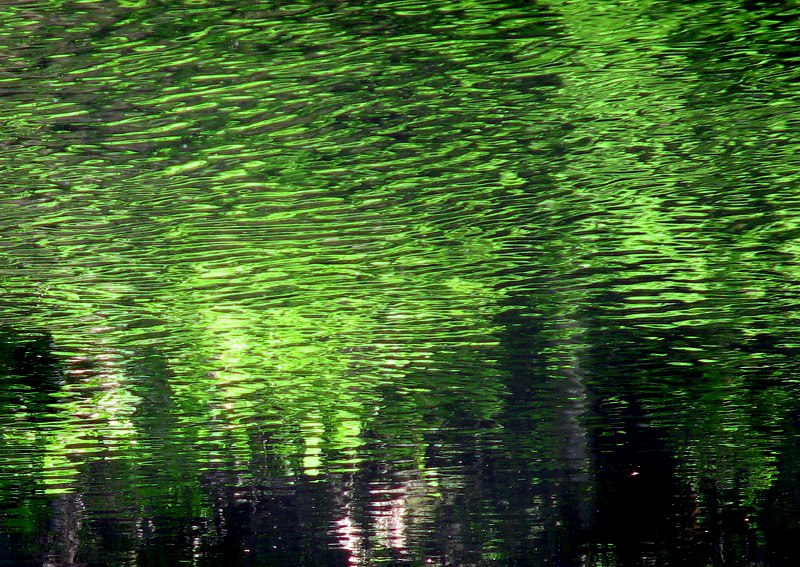 reflets vert bouteille
