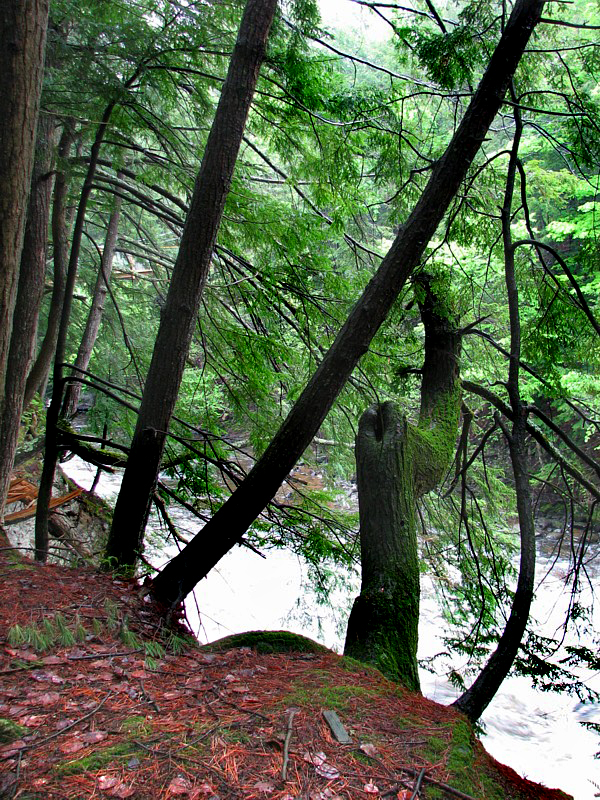 bord de la Maskinong