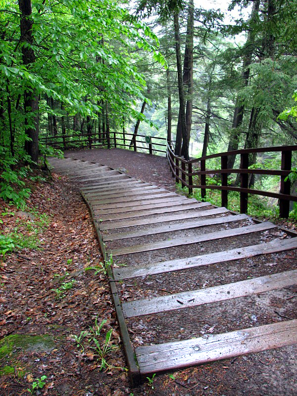 la sentier longeant la rivire