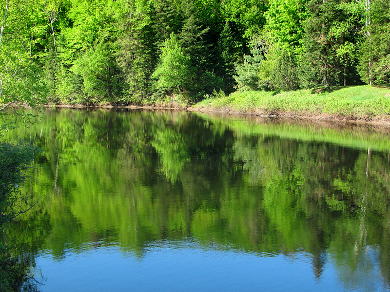 la rivire  St-Alexis-des-monts