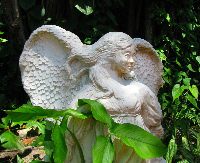 L'ange de pierre veille dans le jardin