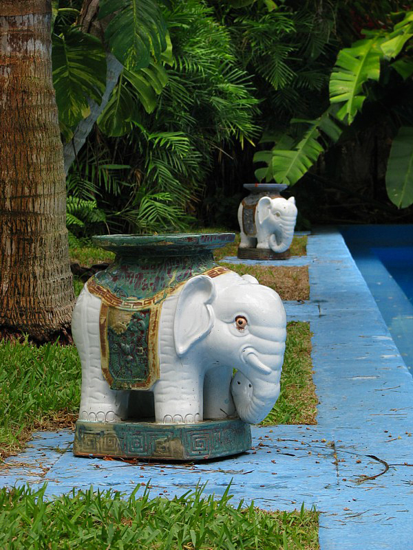 les lphants gardant la piscine