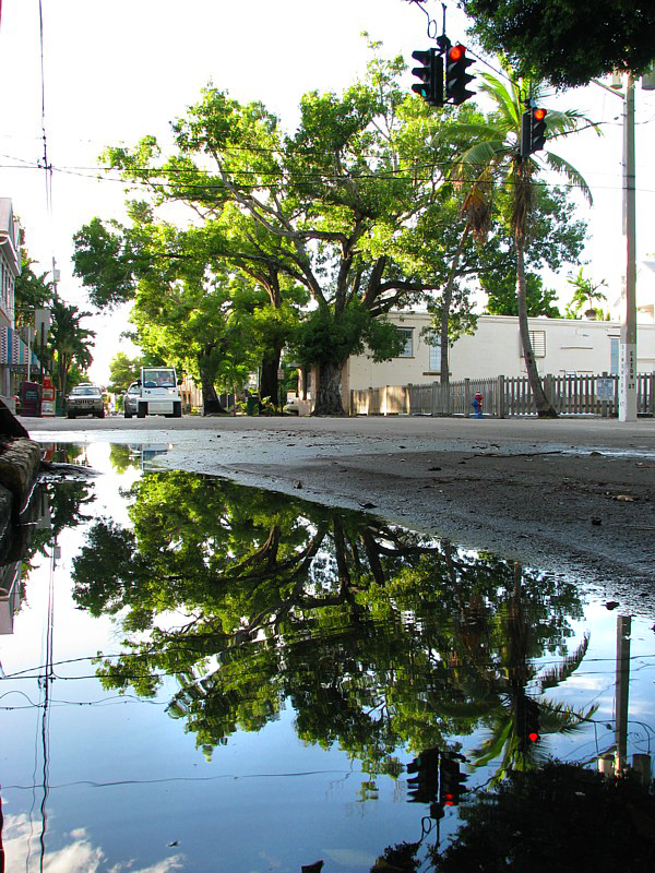 le reflet de la rue