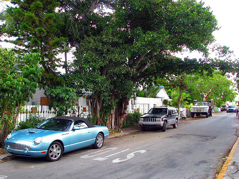 Bahama village