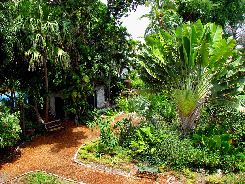 vue du jardin