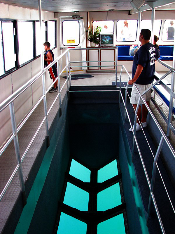 Bottom glass boat