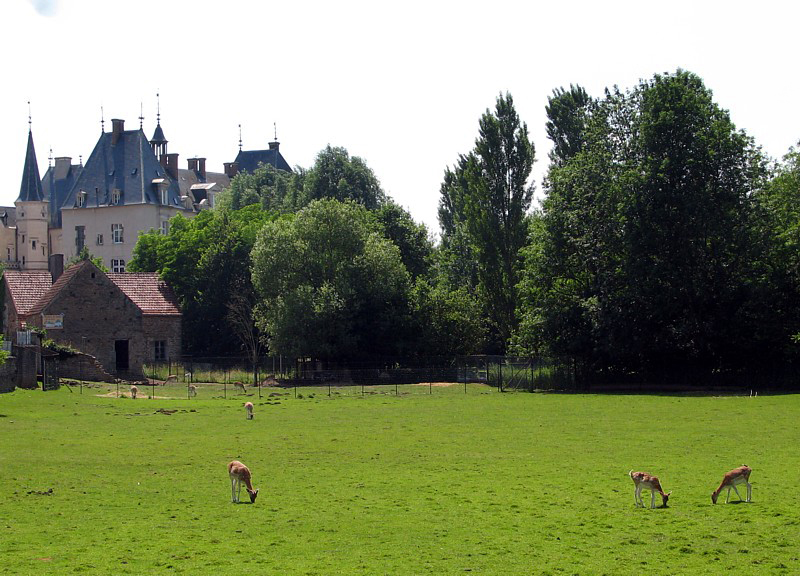 le parc aux biches