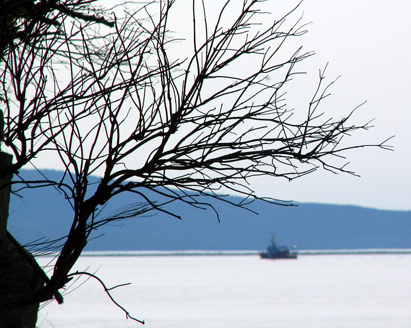 bateau dans la baie de Gaspé
