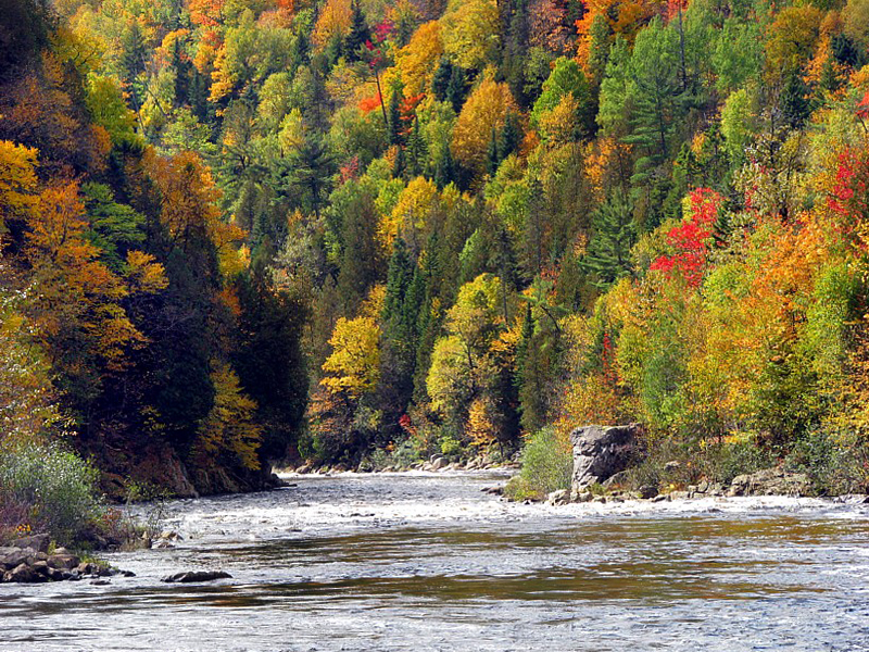 rivière d'automne