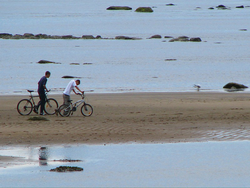 les bicyclettes sur la plage