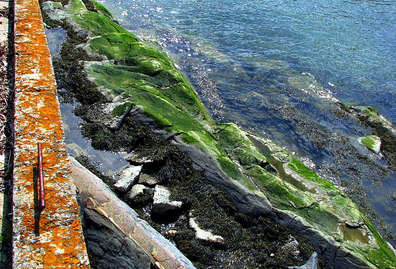 orange vert et bleu, les couleurs du vieux quai