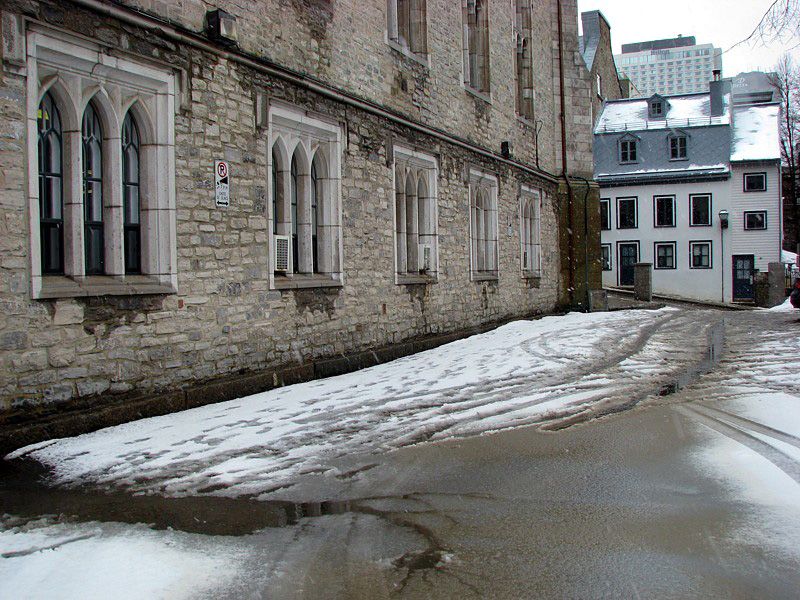 la cour de l'institut canadien