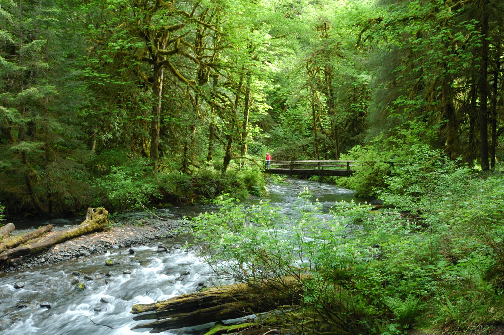 Barnes Creek