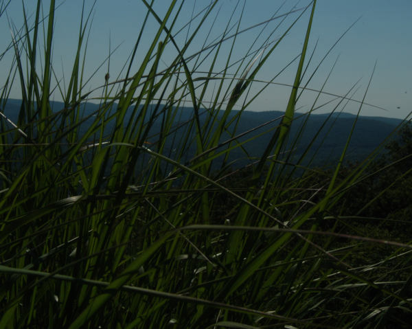 ir-080716_0023_5x7L.jpg