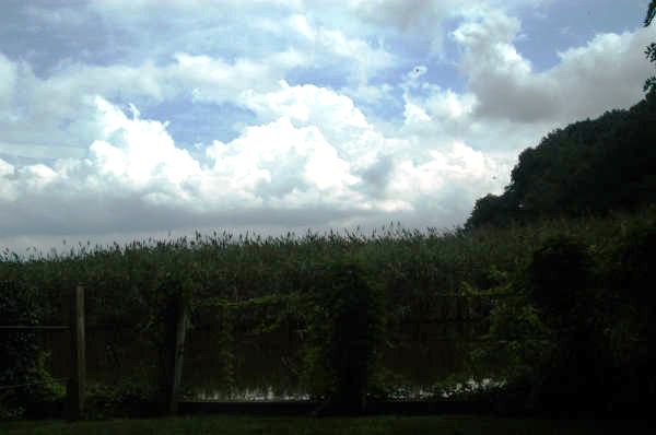 ir-090823_14-07_0018.jpg