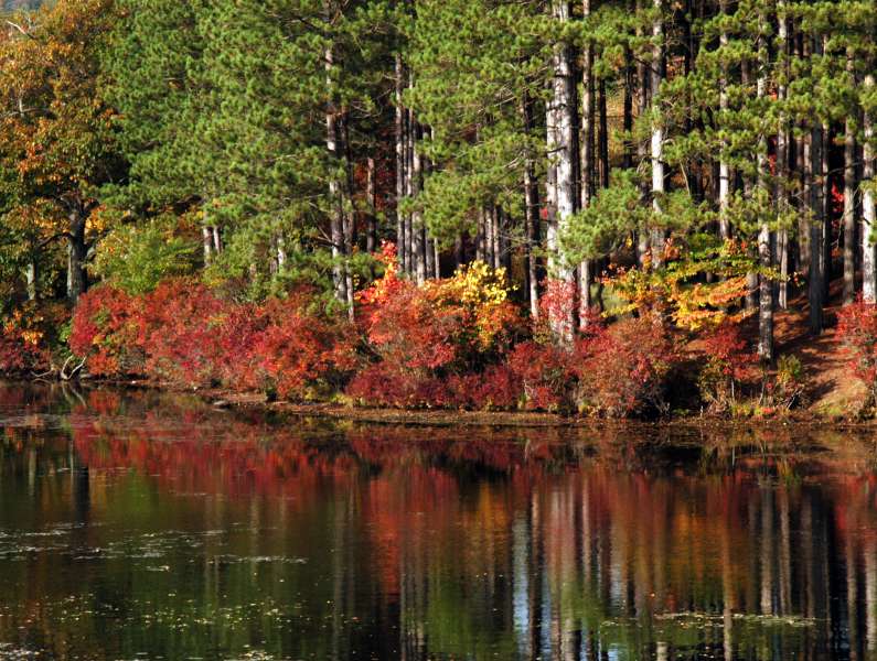 ir-200310242955_LakeKanawaukeHarrimanCR.jpg