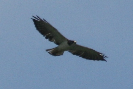 July 2009
