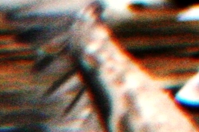 Mystery Gull M