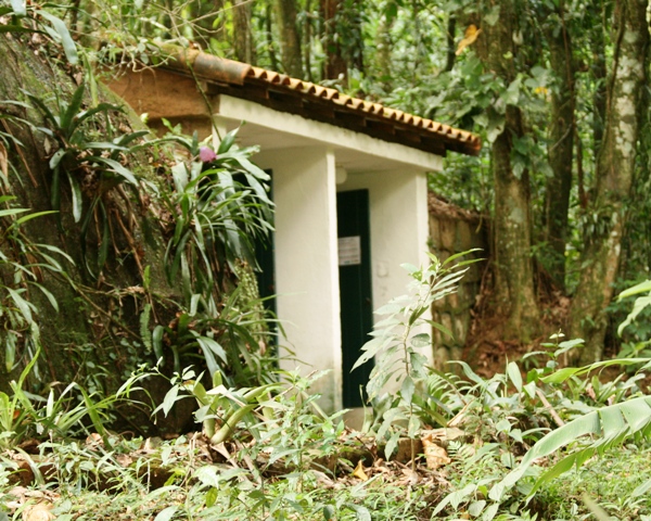 Scenery and Vegetation