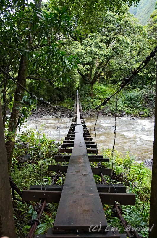 Waihee Valley