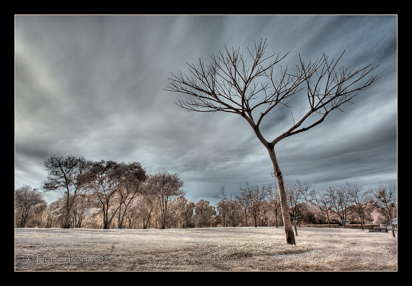 DSC_4278IR.jpg