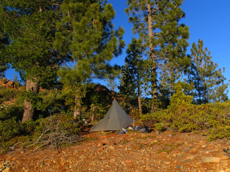My camp under the pines