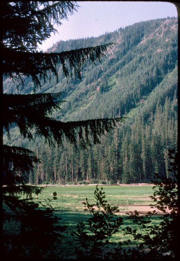 Mt Jefferson Wilderness and Pamelia Lake meadow 1977