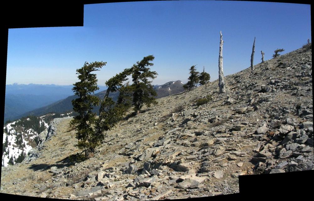 Marble Mountain summit panorama
