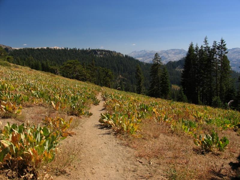 North of Barker pass