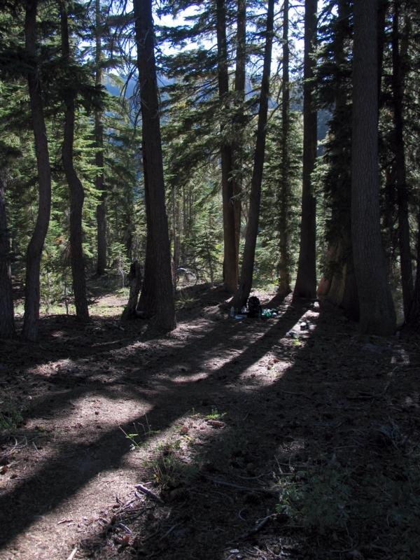 Camp in North Blackwood creek valley