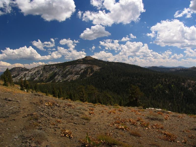 Paradise creek Valley