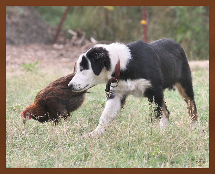 monty-047-7-2-10b.JPG
